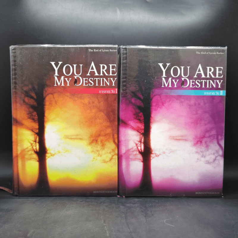 You Are My Destiny 2 เล่มจบ - มารยาตะวัน