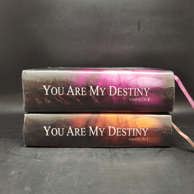 You Are My Destiny 2 เล่มจบ - มารยาตะวัน