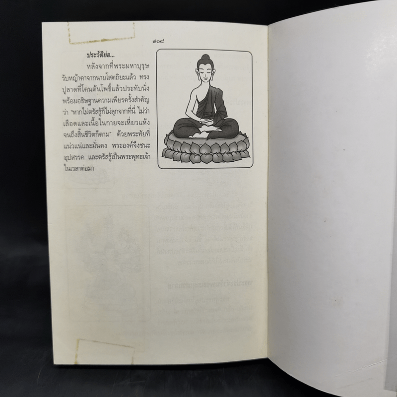 พจนานุกรมพระพุทธศาสนา ฉบับการ์ตูน