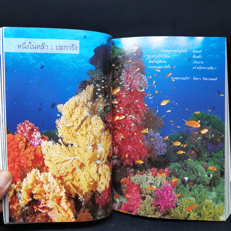 คู่มืออันดามัน ปะการัง พังงา สึนามิ - ธรณ์ ธำรงนาวาสวัสดิ์, ศักดิ์อนันต์ ปลาทอง