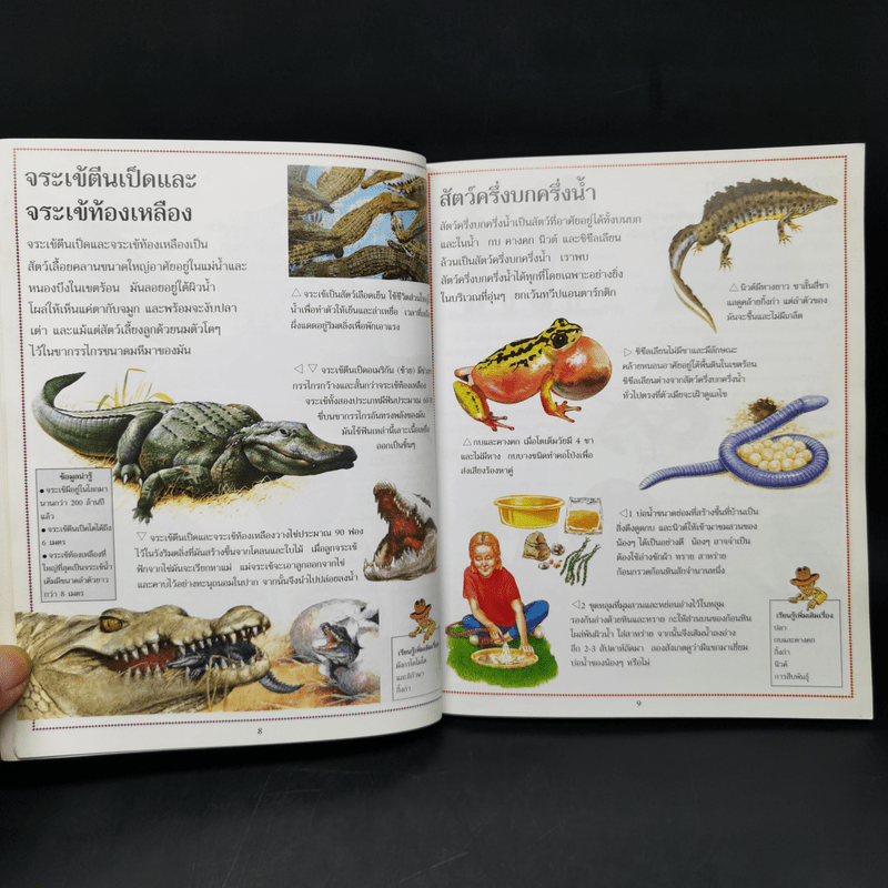 สารานุกรมความรู้เรื่องสัตว์สำหรับเด็ก