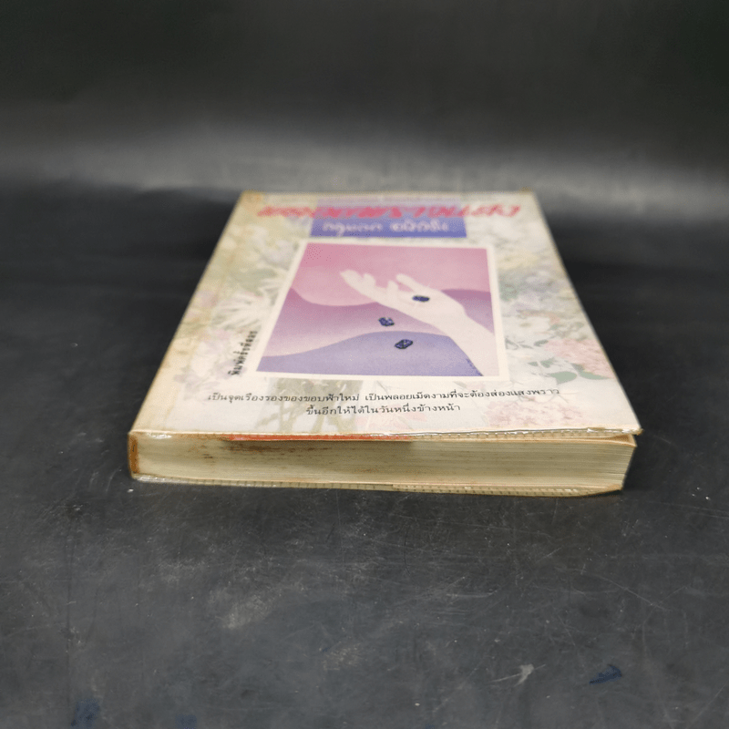 พลอยพราวแสง - กฤษณา อโศกสิน