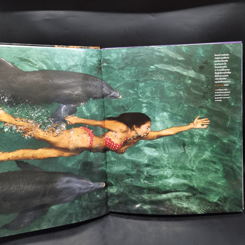 ชุดว่ายน้ำ : 100 ปีภาพถ่ายยอดเยี่ยม - National Geographic