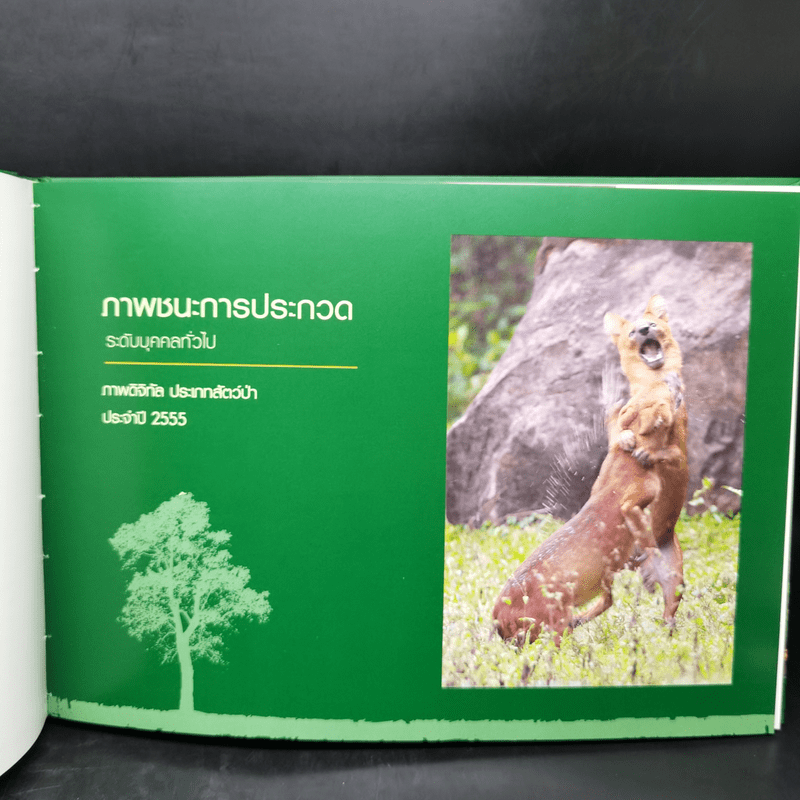 สัตว์มีค่า ป่ามีคุณ โครงการประกวดถ่ายภาพอนุรักษ์ธรรมชาติ ครั้งที่ 18 ประจำปี 2555