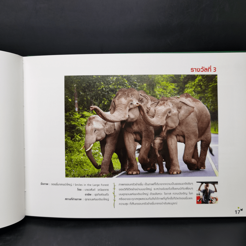 สัตว์มีค่า ป่ามีคุณ โครงการประกวดถ่ายภาพอนุรักษ์ธรรมชาติ ครั้งที่ 18 ประจำปี 2555