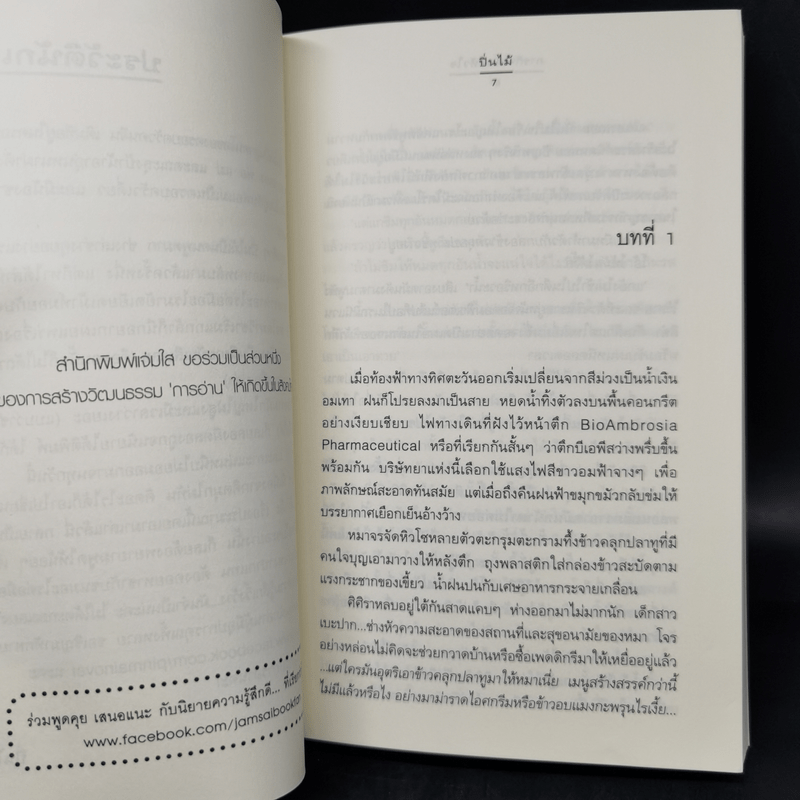 นิยายแจ่มใส ชุด รัก... ร้าย รักร้ายละลายใจ + มัศยาเร้นรัก + ภารกิจขโมยหัวใจ + มรดกรักร้าย + บ่วงแสงดาว