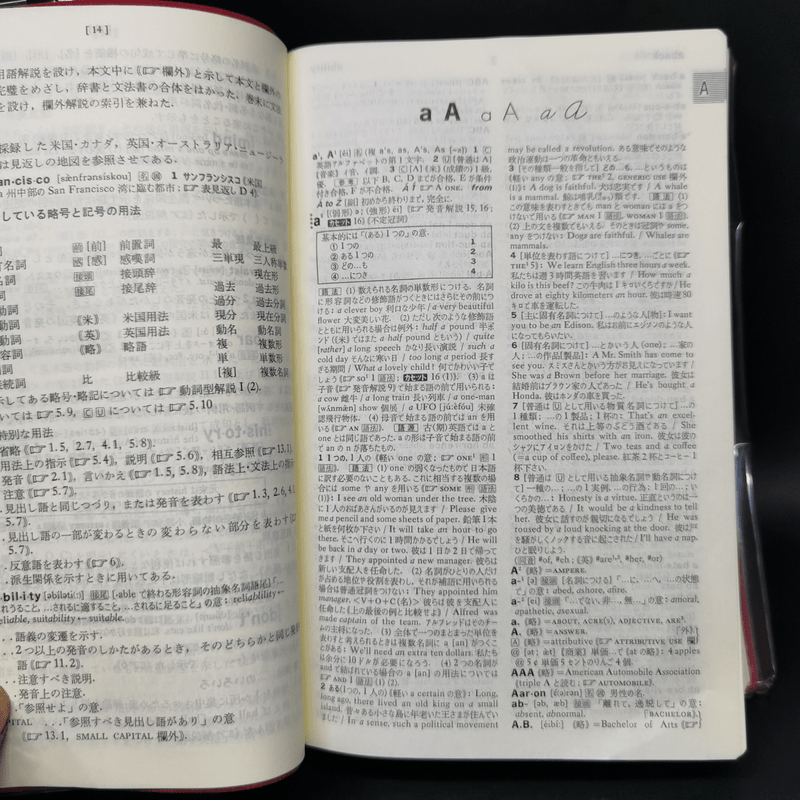 Kenkyusha's Lighthouse English-Japanese Dictionary
