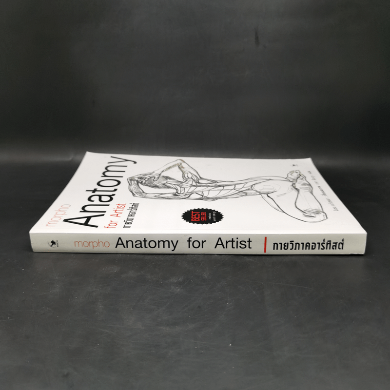 Anatomy for Arttist กายวิภาคอาร์ทิสต์ - มิเชล ลอริเชลลา