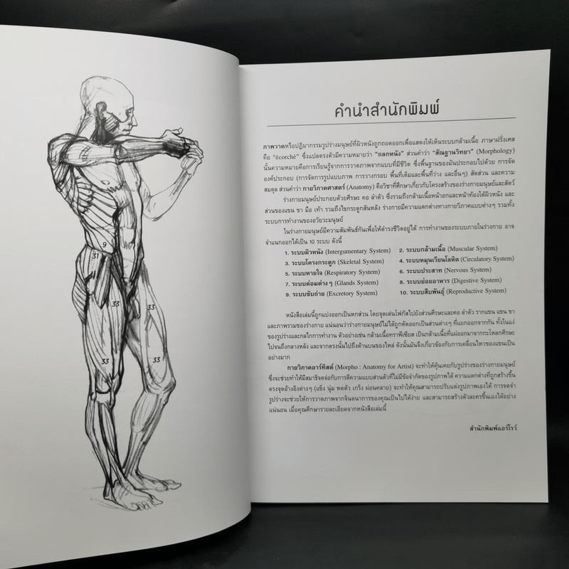 Anatomy for Arttist กายวิภาคอาร์ทิสต์ - มิเชล ลอริเชลลา