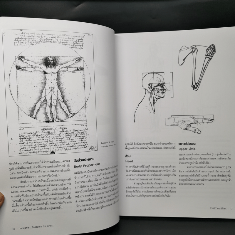 Anatomy for Arttist กายวิภาคอาร์ทิสต์ - มิเชล ลอริเชลลา