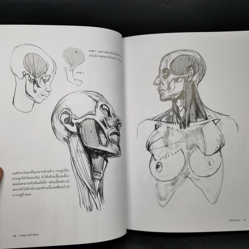 Anatomy for Arttist กายวิภาคอาร์ทิสต์ - มิเชล ลอริเชลลา