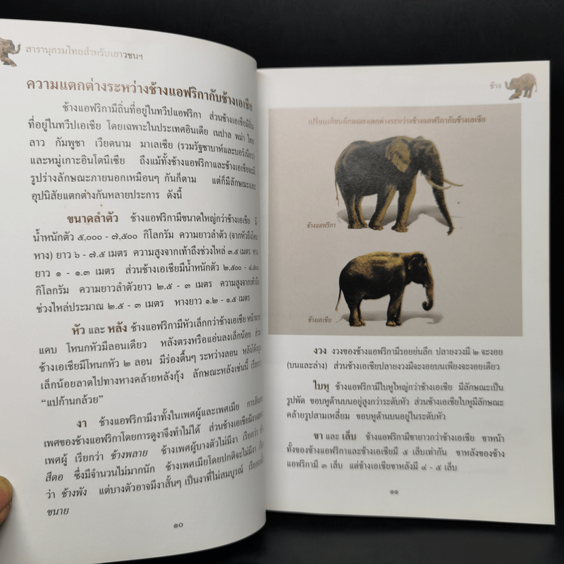 สารานุกรมไทยสำหรับเยาวชน ฉบับเสริมการเรียนรู้ เล่ม 12