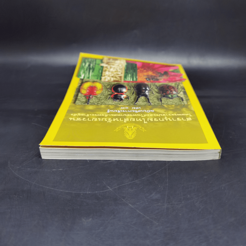 สารานุกรมไทยสำหรับเยาวชน ฉบับเสริมการเรียนรู้ เล่ม 17