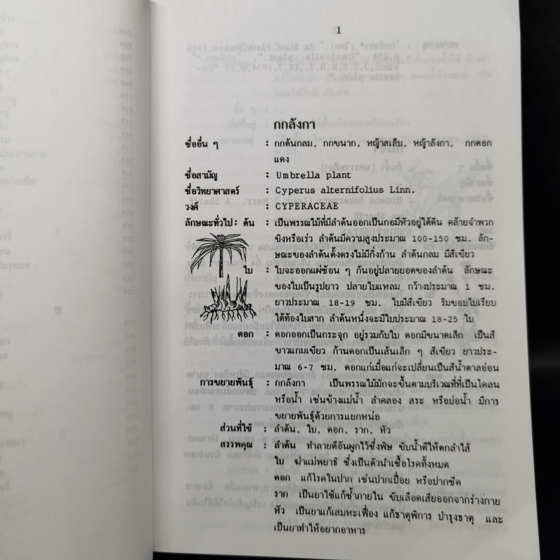 พจนานุกรม สมุนไพรไทย - ศ.ดร.วิทย์ เที่ยงบูรณธรรม