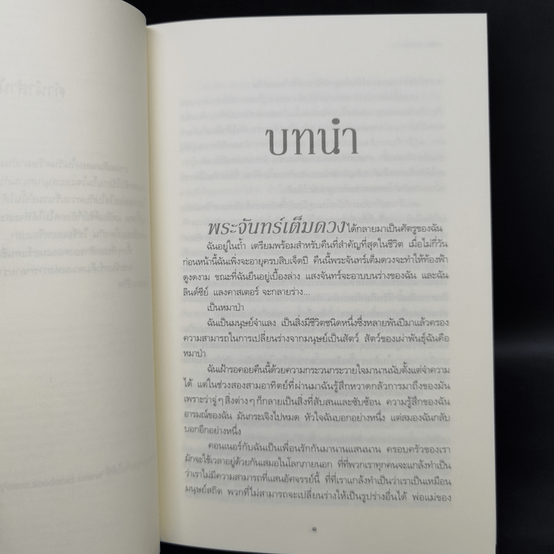 ชุด ผู้พิทักษ์รัตติกาล 4 เล่ม ลำนำจันทรา+มายาจันทรา+เงาจันทรา+จันทรานิมิต