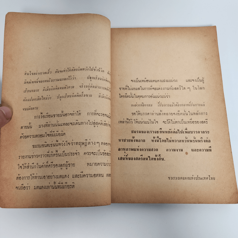 ชมรมมดแดงแห่งประเทศไทย - หลวงเมืองกับพวก