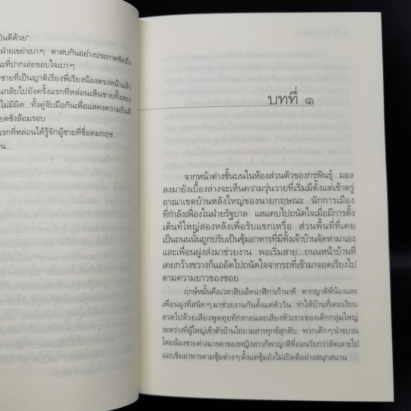 ในเรือนใจ - กิ่งฉัตร