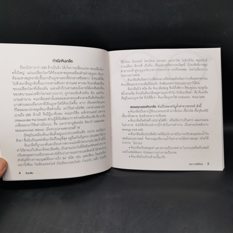 คู่มือการใช้หินเกลือ อานุภาพในการปรับสมดุลและรักษาเยียวยาร่างกาย