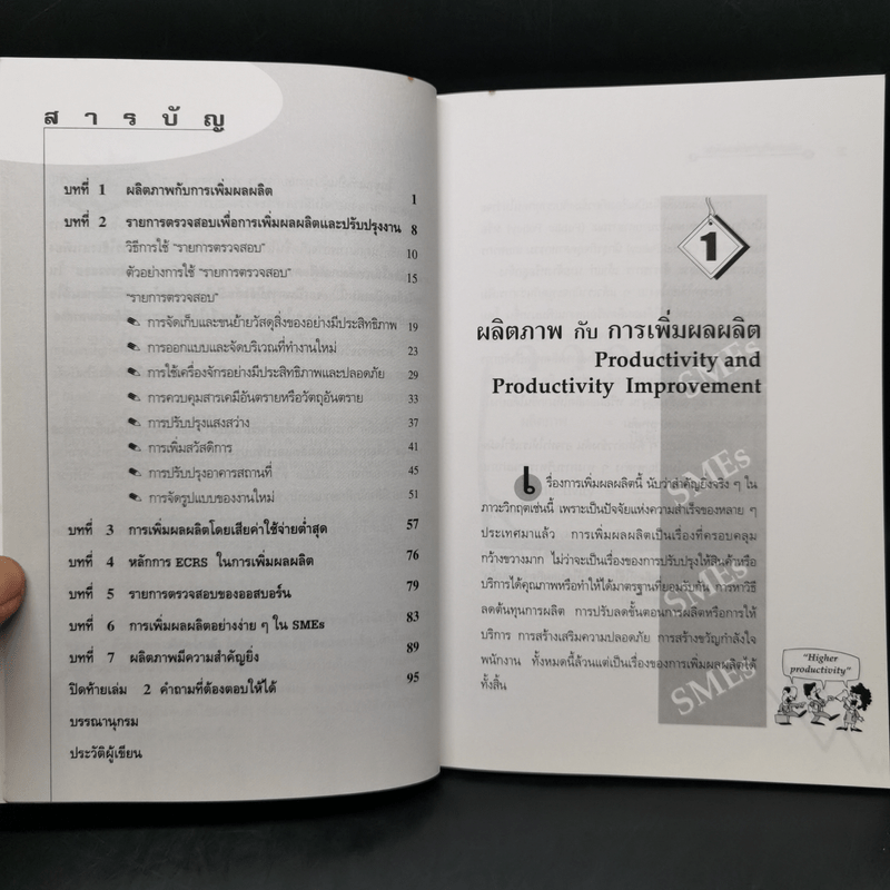 การเพิ่มผลผลิตสำหรับ SMEs - วิฑูรย์ สิมะโชคดี