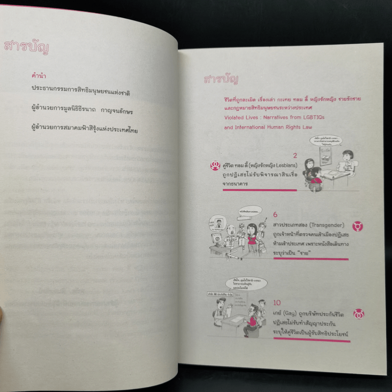 ชีวิตที่ถูกละเมิด : เรื่องเล่า กะเทย ทอม ดี้ หญิงรักหญิง ชายรักชาย และกฏหมายสิทธิมนุษยชนระหว่างประเทศ