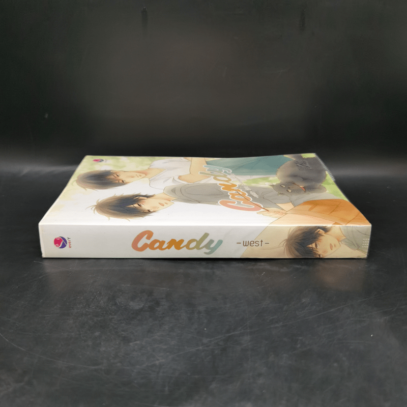 นิยายวาย Candy - West