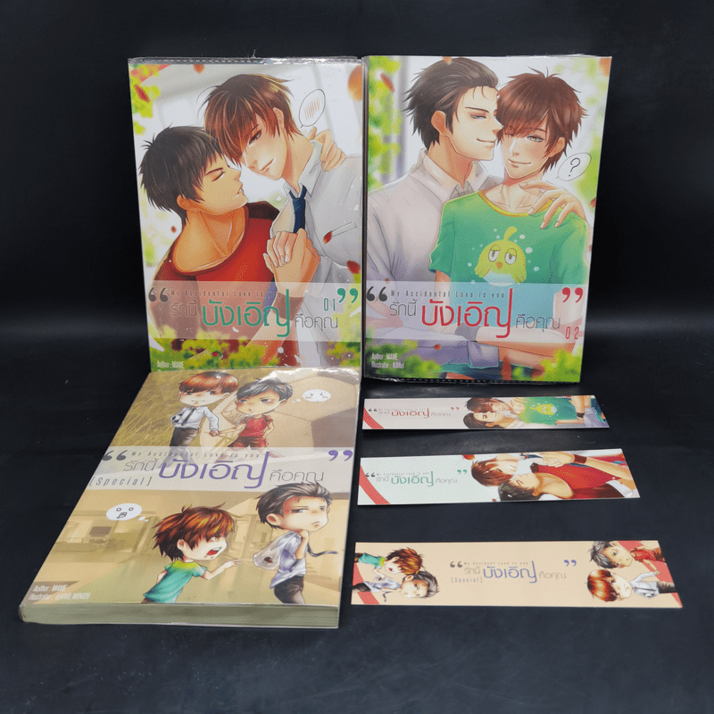 นิยายวาย My Accidental Love is You รักนี้บังเอิญคือคุณ 2 เล่มจบ + Special - MAME