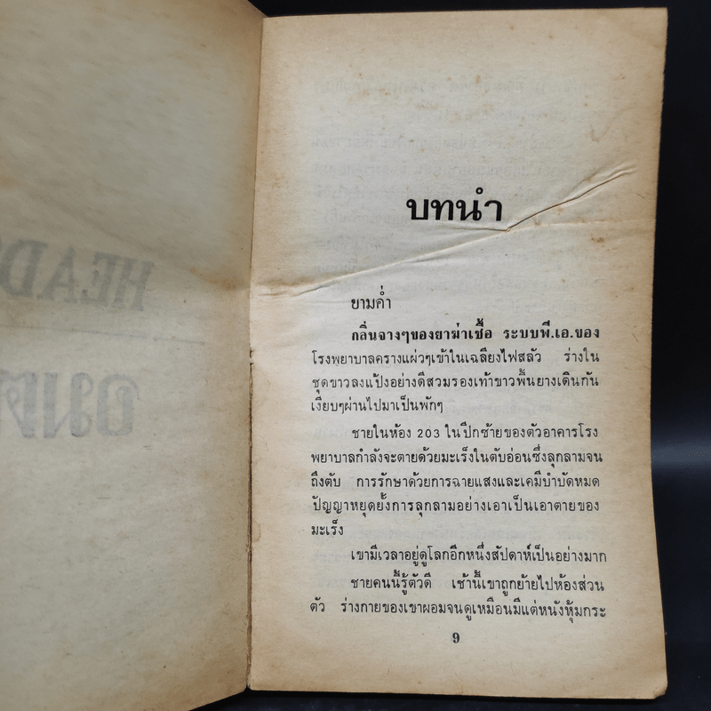 Heads อมตะ - David Osborn, สุวิทย์ ขาวปลอด