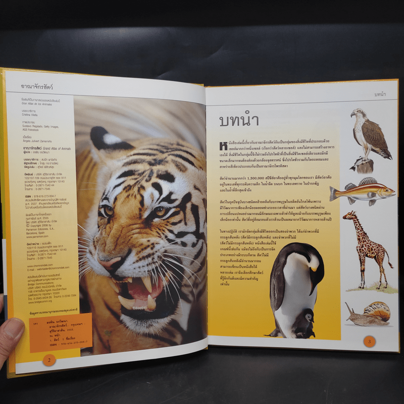 อาณาจักรสัตว์ Grand Atlas of Animals