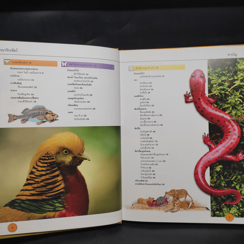 อาณาจักรสัตว์ Grand Atlas of Animals