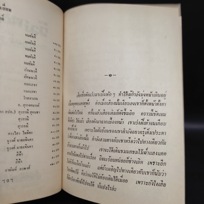 วิมานเงา 2 เล่มจบ - สายัณห์ ลวพงศ์