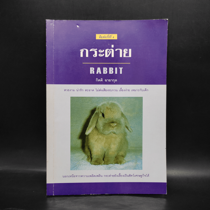 กระต่าย Rabbit - กิตติ ฉายากุล