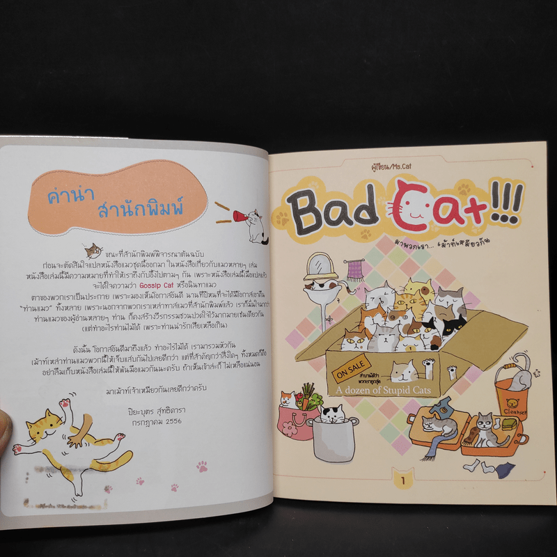 Bad Cat!!! มาพวกเรา เม้าท์เหมียวกัน - Ms.Cat