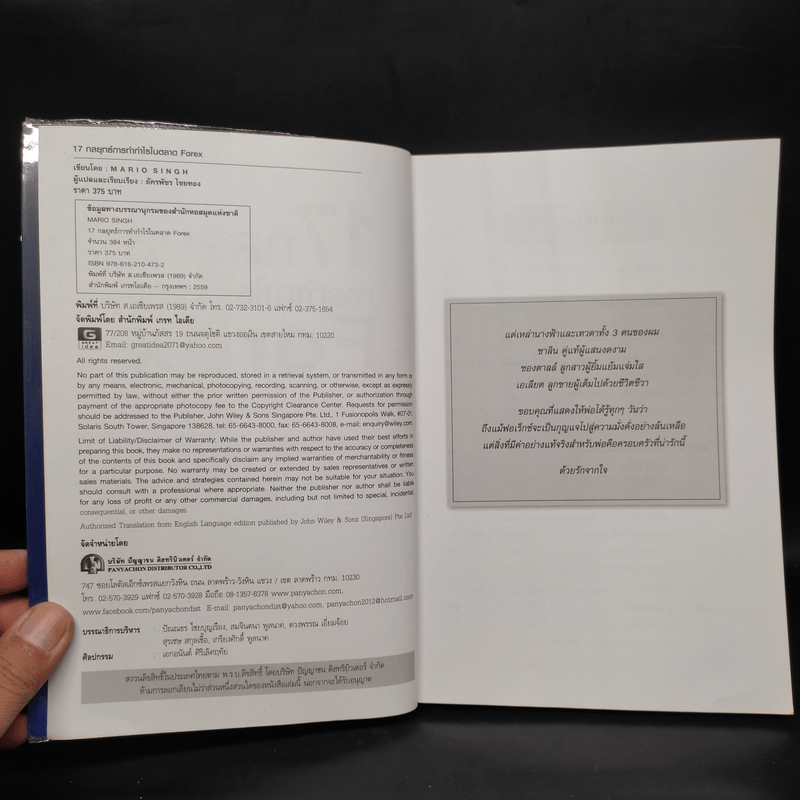 17 กลยุทธ์ การทำกำไรในตลาด Forex - Mario Singh