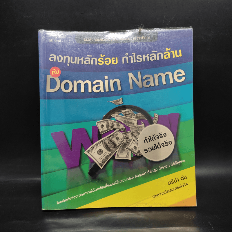 ลงทุนหลักร้อย กำไรหลักล้าน กับ Domain Name - สรีน่า ตัน