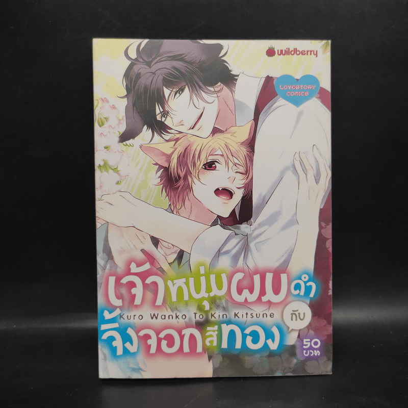 การ์ตูนวาย เจ้าหนุ่มผมดำกับจิ้งจอกสีทอง