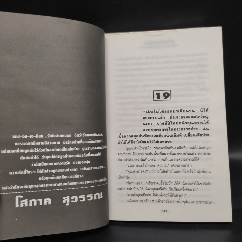 รักในสายหมอก 2 เล่มจบ - โสภาค สุวรรณ