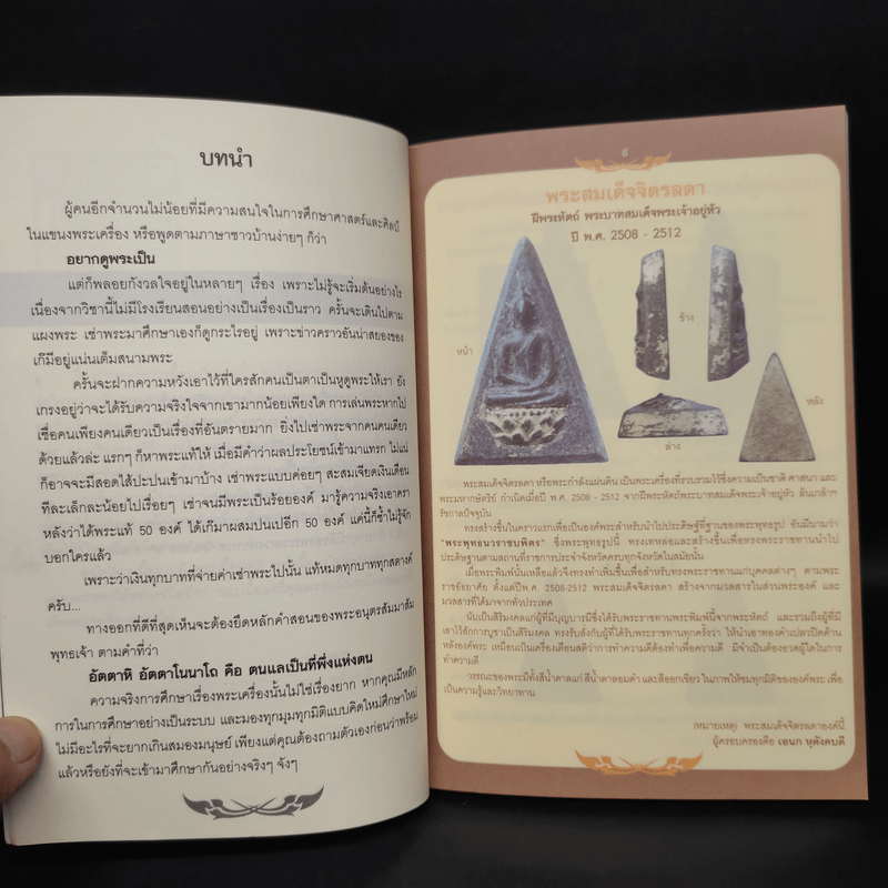 เซียนส่องพระเนื้อผง - เอนก หุตังคบดี