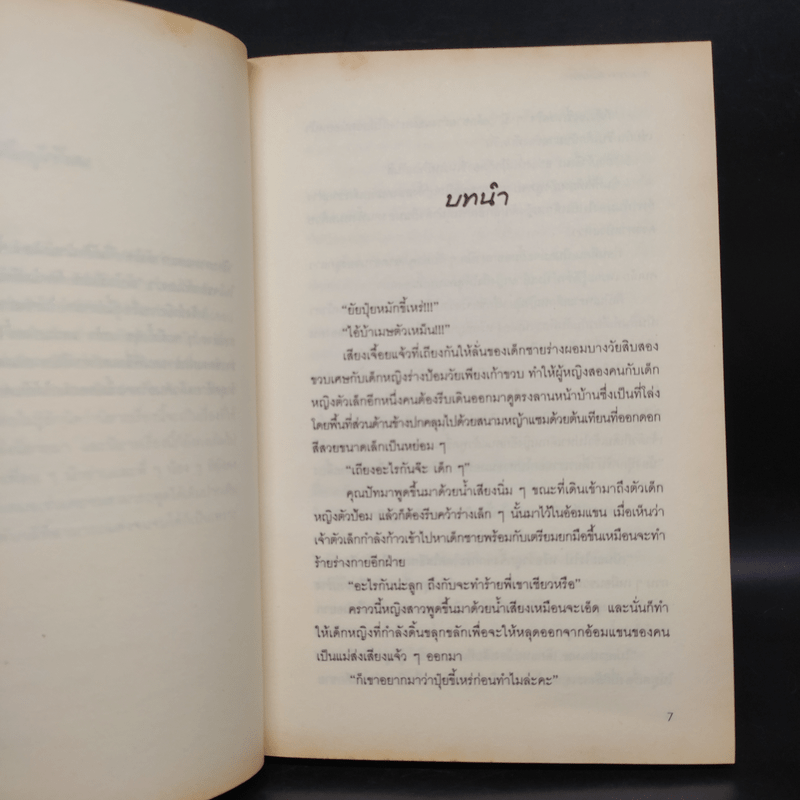 กามเทพสลับรัก 2 เล่มจบ - พันวลี