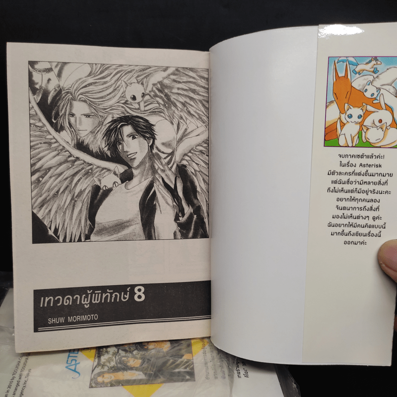 ASTERISK เทวดาผู้พิทักษ์ 8 เล่มจบ