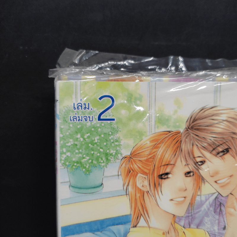 การ์ตูนวาย สงครามความรัก Love Wars 2 เล่มจบ