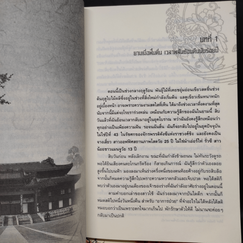 เจาะมิติพิชิตบัลลังก์ 4 เล่มจบ - ถงหัว