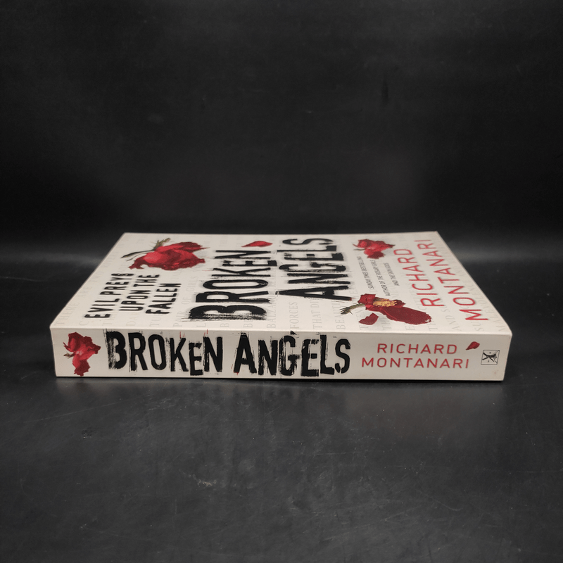 Broken Angels - Richard K. Morgan