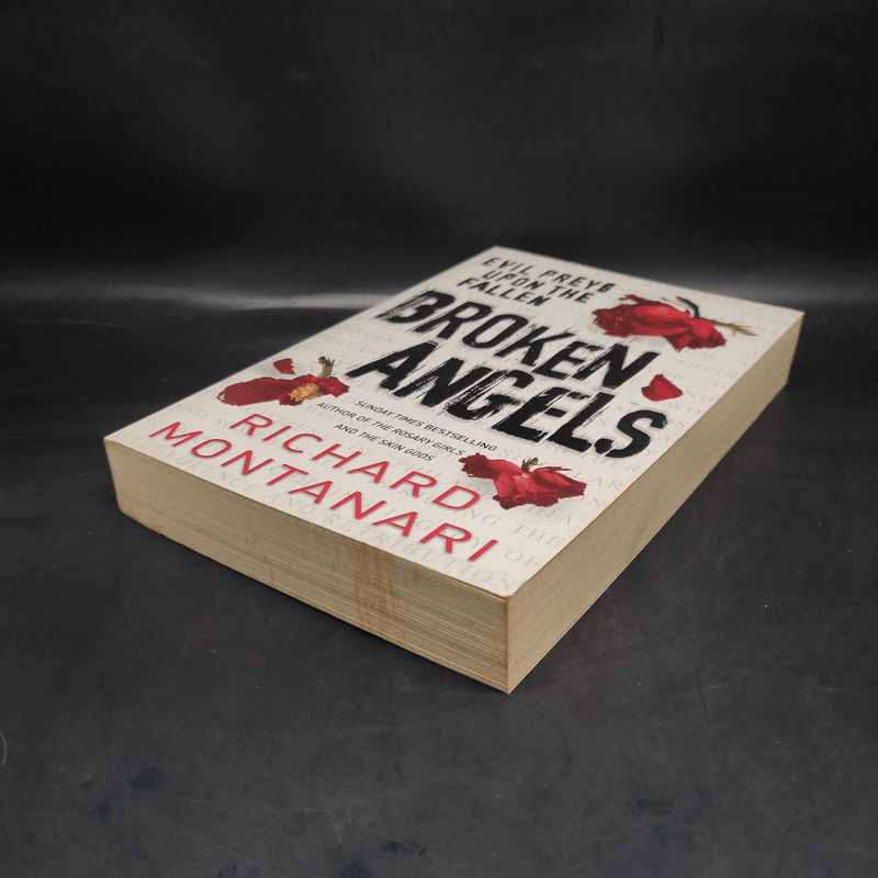 Broken Angels - Richard K. Morgan