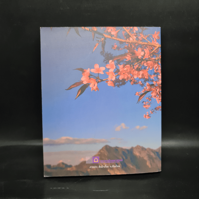 102 ที่เที่ยวออกรส