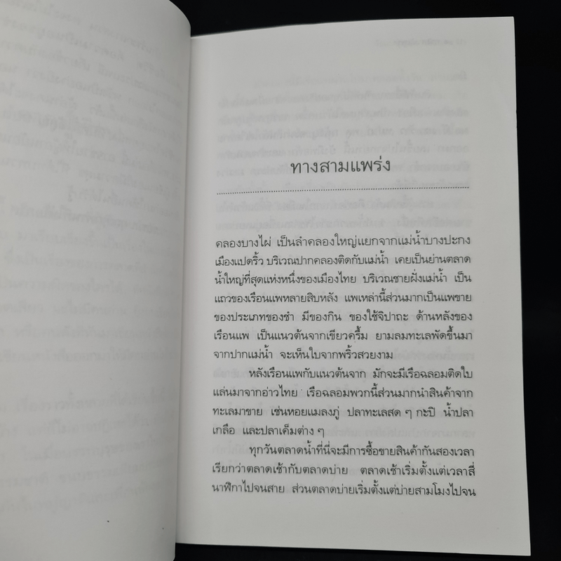 บ้านร้างกลางสวน - วัธนา บุญยัง