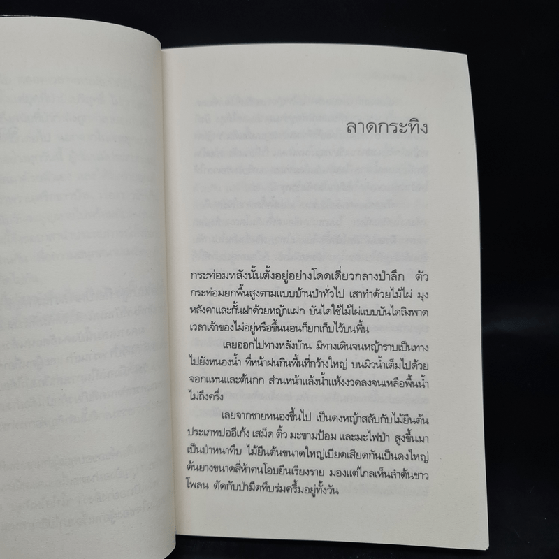 น้ำใสในป่าสูง - วัธนา บุญยัง