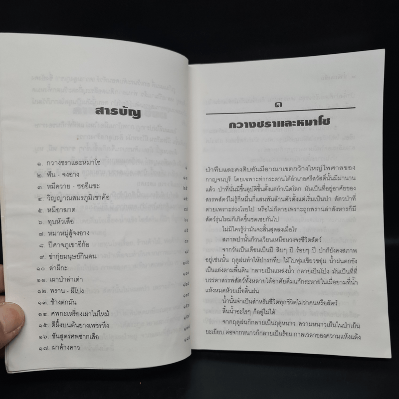 ป่าดิบดงทึบ - สังคีต จันทนะโพธิ