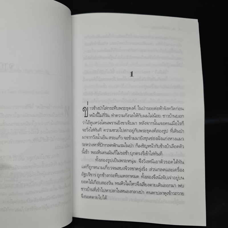 สางในป่าสูง - วัธนา บุญยัง