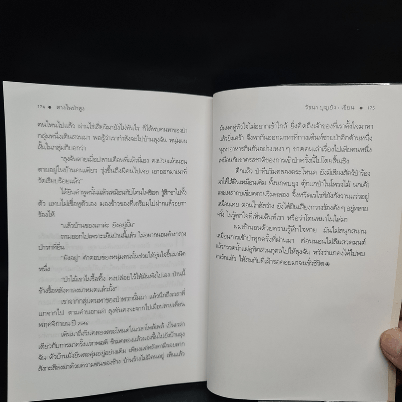 สางในป่าสูง - วัธนา บุญยัง