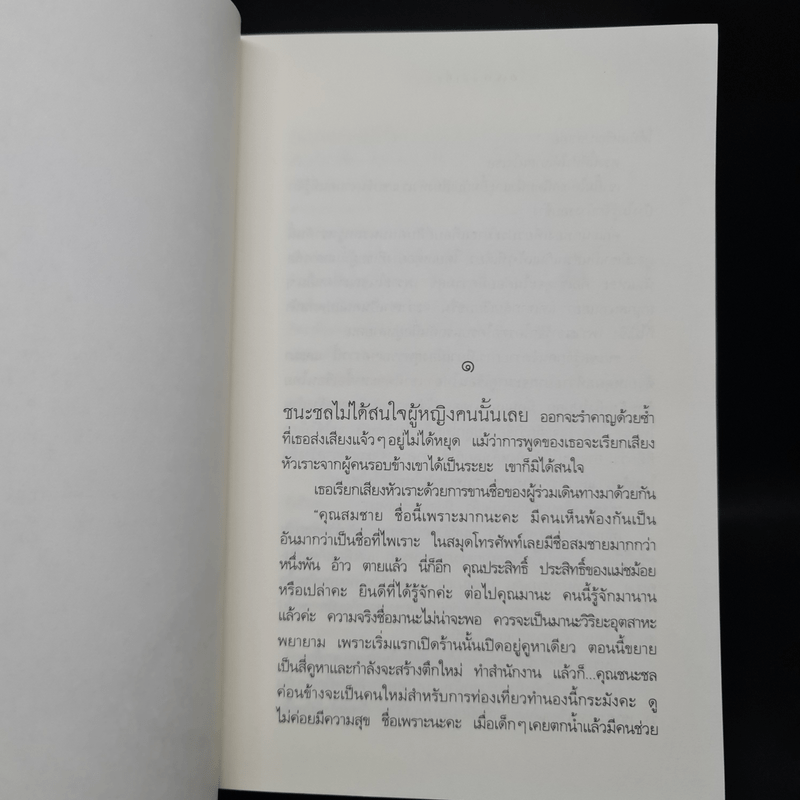 แม่เบี้ย - วาณิช จรุงกิจอนันต์